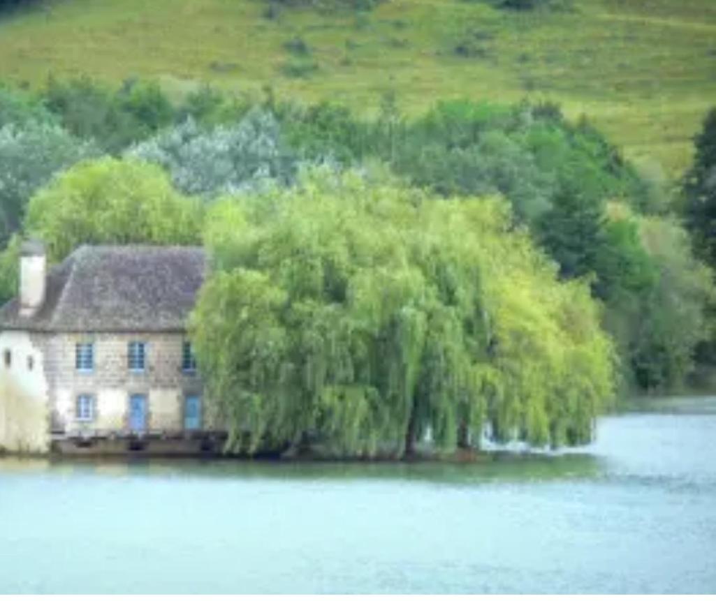 En Toute Quietude Lissac-sur-Couze Exterior foto
